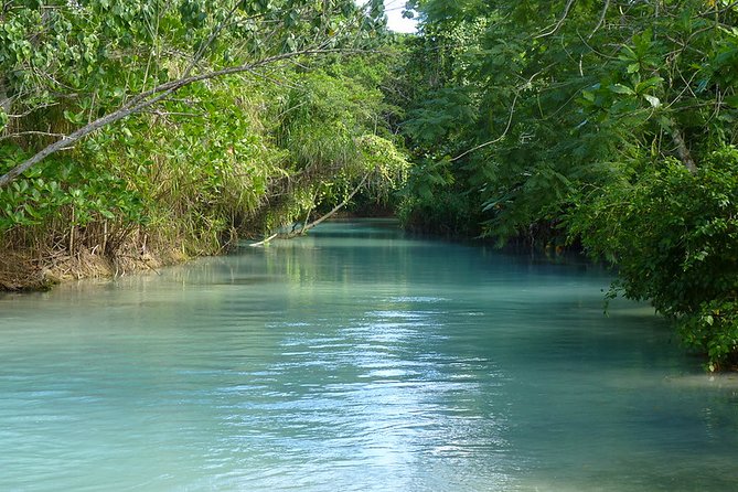 Private Transfer to White River Tubing Ocho Rios - Participant Information