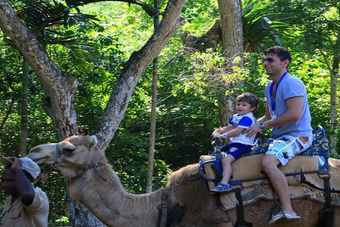 Private Transfer to Yaaman Adventure Park From Ocho Rios - Schedule and Availability
