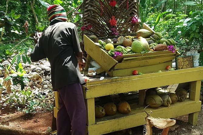 Private Transfer to Yaaman Adventure Park From Ocho Rios - Accessibility and Participation