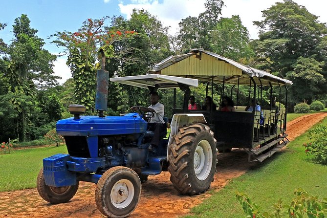 Private Transfer to Yaaman Adventure Park From Ocho Rios - Booking Information
