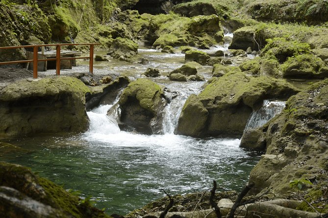 Private Transfer to Yaaman Adventure Park From Ocho Rios - Booking Your Stay