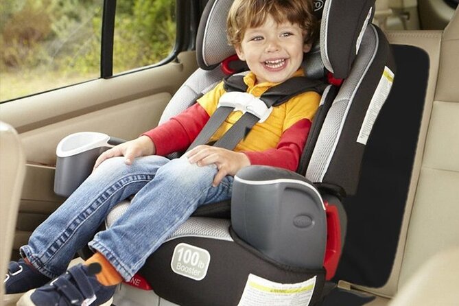 Private Transfer: Toronto Pearson Airport or Oakville City Ontario - Accessibility and Special Accommodations