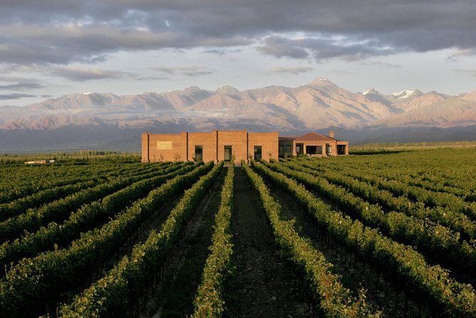 Private Transfer Uco Valley Wineries - Recommended Activities