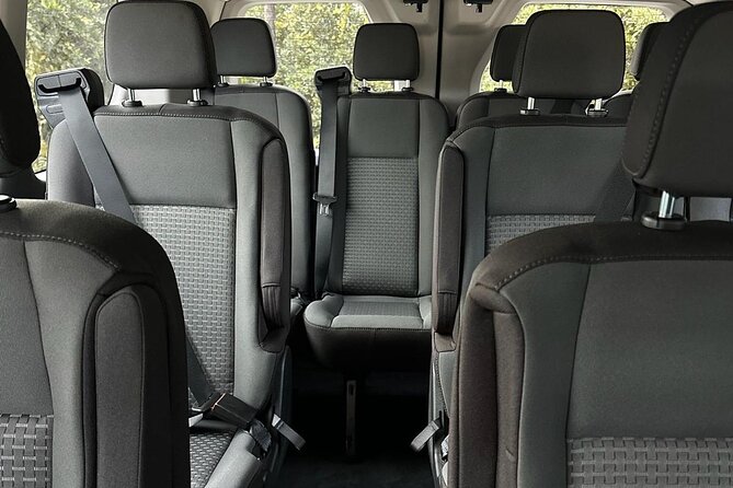 Private Transfer Van to Mco, Disney and Univ up to 14 Passenger - Customer Reviews and Testimonials
