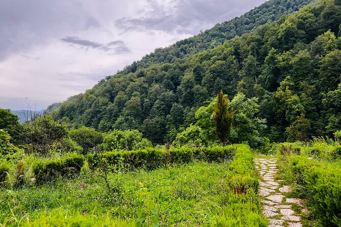 Private Transfer: Yerevan-Tbilisi/ Tbilisi-Yerevan - Pickup and Accessibility