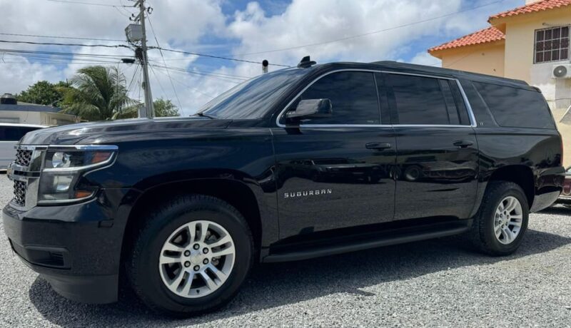 Private Transfer: Zoetry Agua Hotel to Punta Cana Airport - Experience Highlights