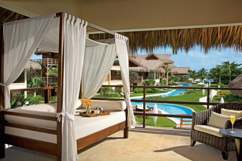Private Transfer Zoetry Agua to Santo Domingo Airport - Professional Experience