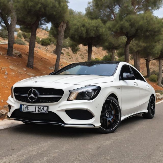 Private Transfer:Piraeus Port-Athens City Center With Sedan - Pickup Process