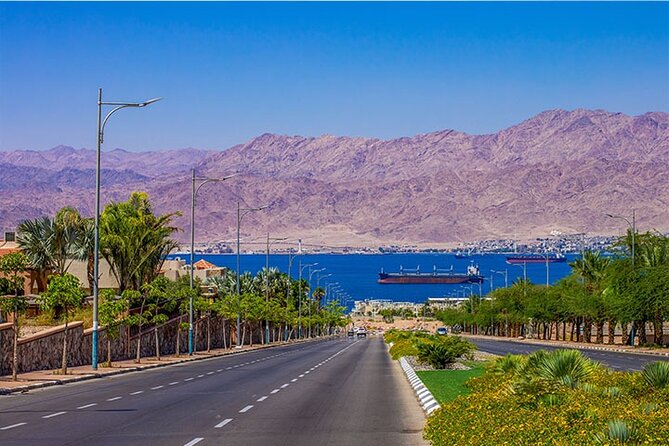 Private Transfers Amman to Dead Sea, Petra, Aqaba, Wadi Rum & Vice Versa - Accessibility and Accommodations