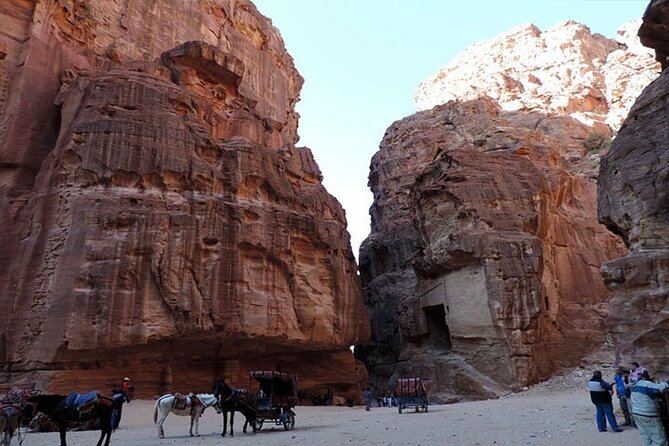Private Transfers Amman to Dead Sea, Petra, Aqaba, Wadi Rum & Vice Versa - Customer Feedback and Testimonials