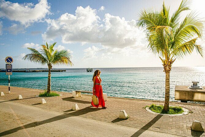 Private Transfers between Bonaire airport and any local address - The Experience: What Makes It Stand Out?