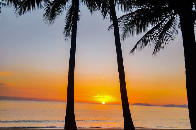 Private Transfers Cairns Airport to Port Douglas - Infant and Stroller Accommodations