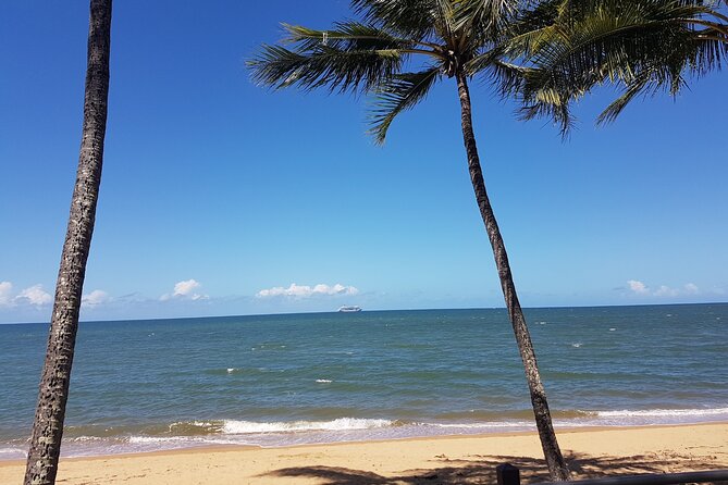 Private Transfers Cairns Airport to Port Douglas - Airport Meet and Greet