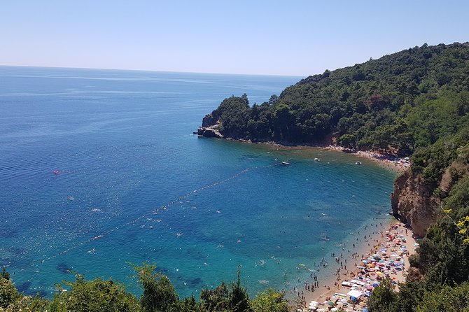 Private Transfers From Podgorica Airport and City to Budva - Vehicle and Driver