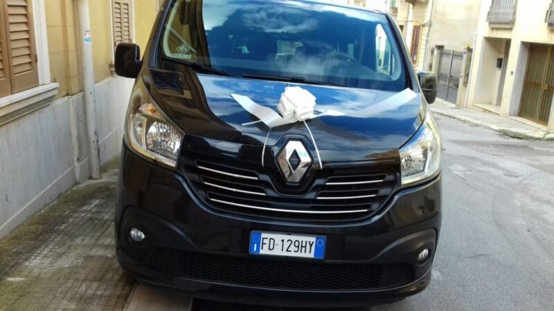 Private Transfers: Palermo Airport - Trapani City - Contact and Support