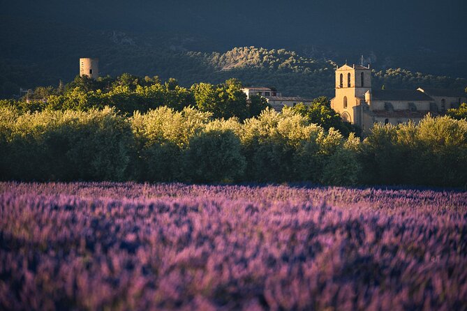 Private Transfers Provence by Smart Vtc - Customer Reviews