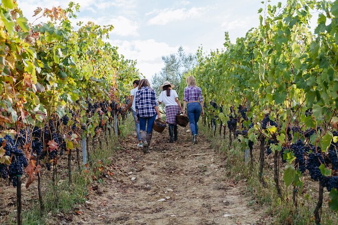Private Transfers to Wineries in Luján and Maipú - Key Points