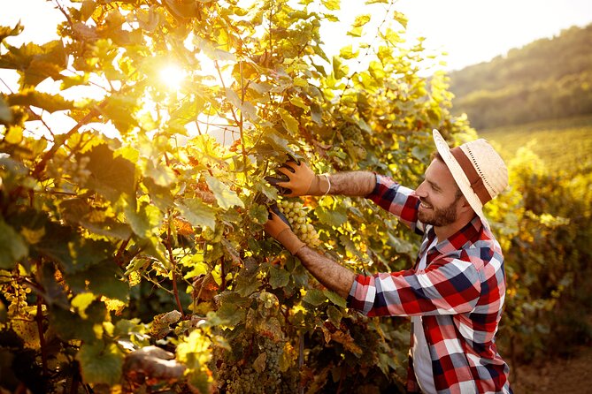 Private Transfers to Wineries in Luján and Maipú - Pickup and Transportation