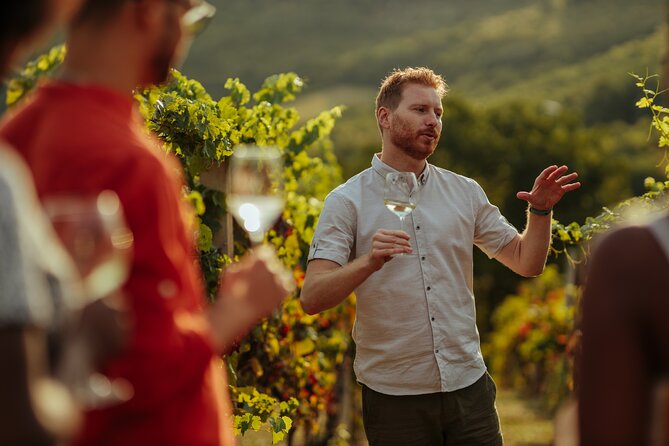 Private Transfers to Wineries in Luján and Maipú - About Di Paola Viajes Y Turismo
