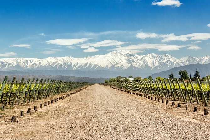 Private Transfers to Wineries in Luján and Maipú - Winery Experiences in Mendoza