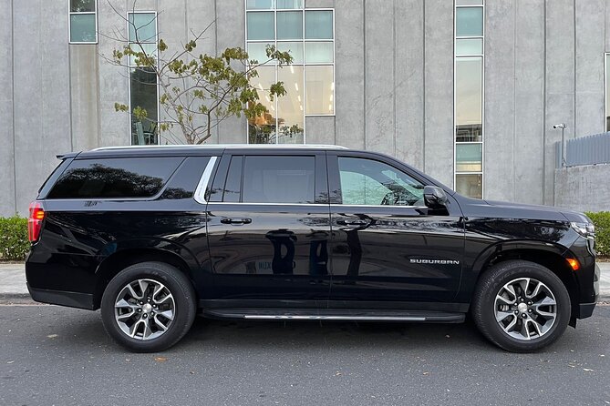 Private Transfers Transportation Airport (PUJ) to PuntaCana and Bavaro Hotels - Accessibility Options