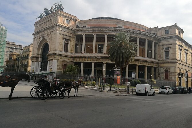 Private Transfert From and to Catania Airport - Cancellation and Support