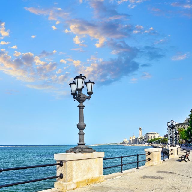 Private Transfert From Bari to Naples - Comfortable Journey Details