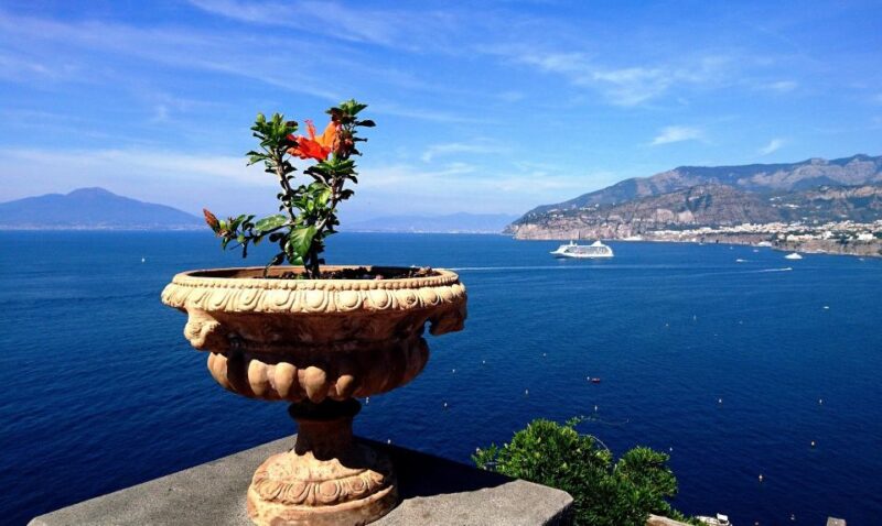Private Transfert From Positano, Sorrento, Amalfi to Naples - Driver and Vehicle Details