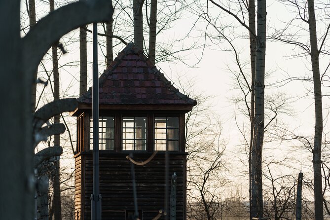 Private Transport and Fully Guided Tour Auschwitz-Birkenau - Valuable Customer Insights
