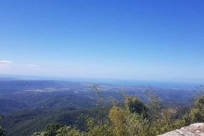 Private Transport From San Juan to Aguadilla/Rincón - Customer Reviews and Feedback