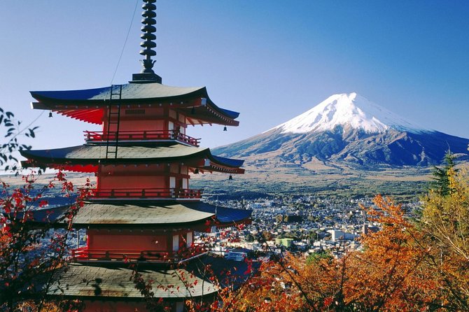 Private Transport Mt Fuji and Hakone 1 Day Trip - Policies