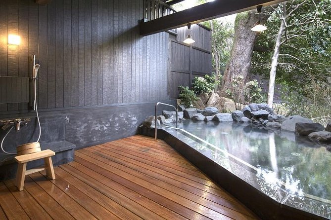Private Transport Mt Fuji and Hakone 1 Day Trip - Additional Details