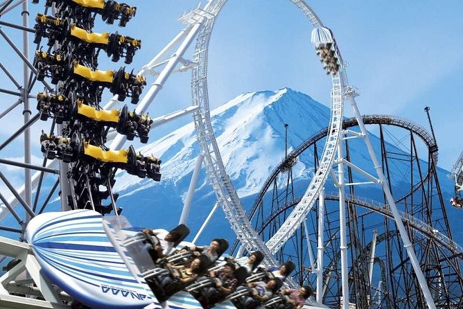 Private Transport Mt Fuji and Hakone 1 Day Trip - Wheelchair Accessibility