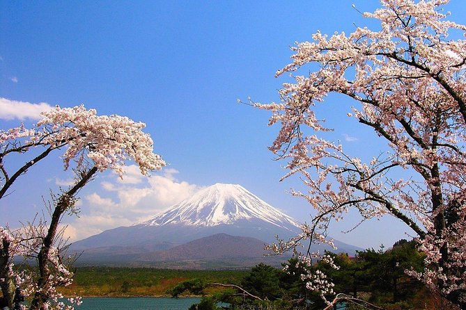 Private Transport Mt Fuji and Hakone 1 Day Trip - Communication Methods