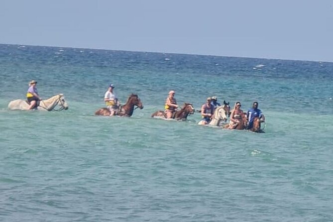 Private Transport to Horseback & ATV With Extra Stops(Ricks Café) - About Your Stay