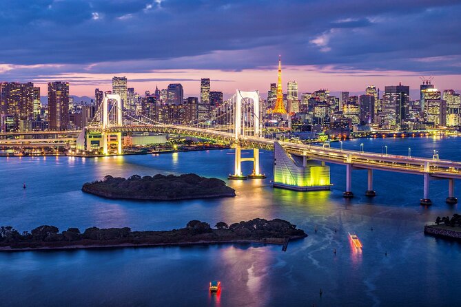 Private Transport Tokyo City Night View Tour - Tour Inclusions