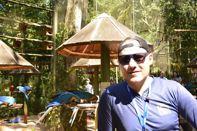 Private Transport With Guide to Brazil Falls + Bird Park - Meeting and Pickup Details
