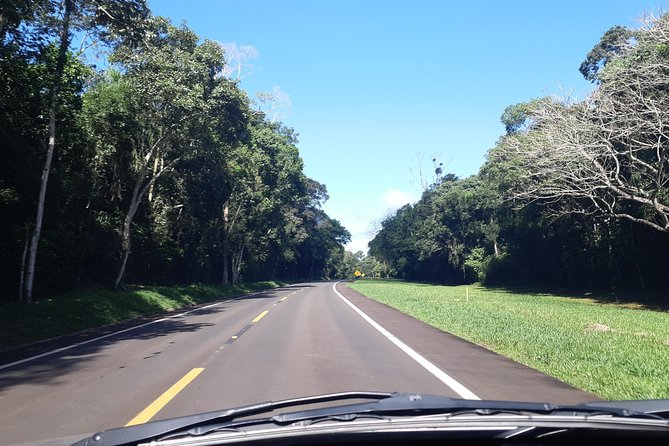 Private Transport With Guide to Brazil Falls + Bird Park - Discovering Bird Park