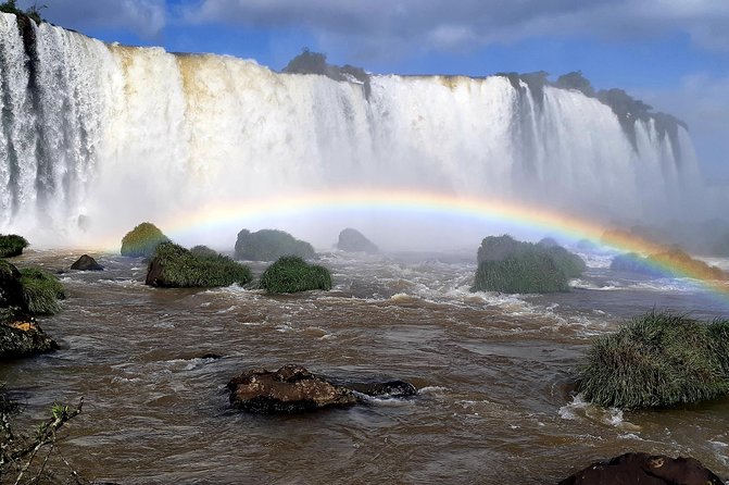 Private Transport With Guide to Brazil Falls + Bird Park - Private Guide Advantage
