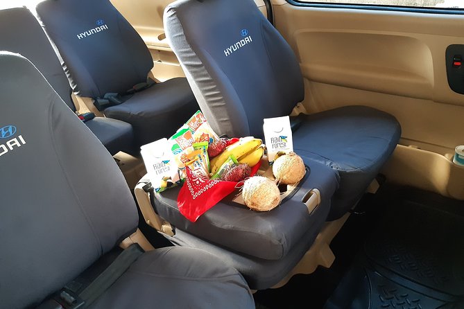 Private Transportation Arenal to San Jose Airport - Accessibility Options
