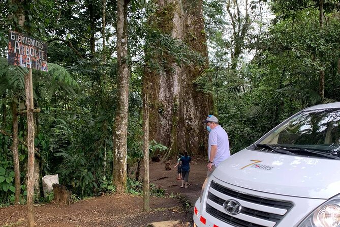 Private Transportation From LA FORTUNA to SAN JOSE AIRPORT or Hotels - Service Overview