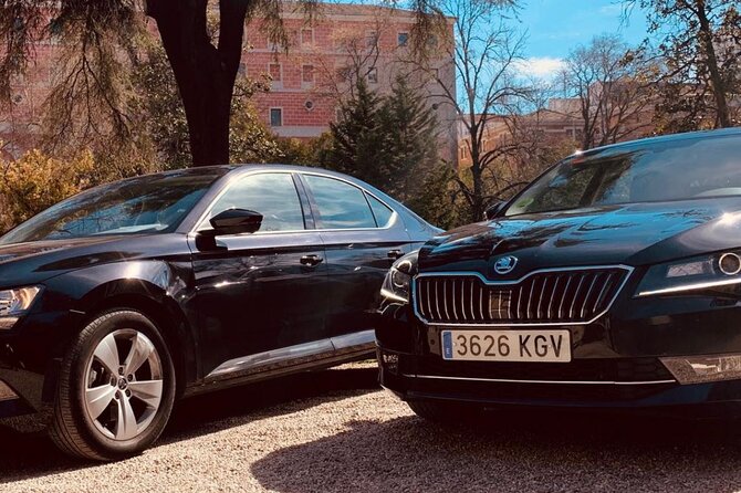 Private Transportation From Madrid Airport to City Center - Customer Reviews
