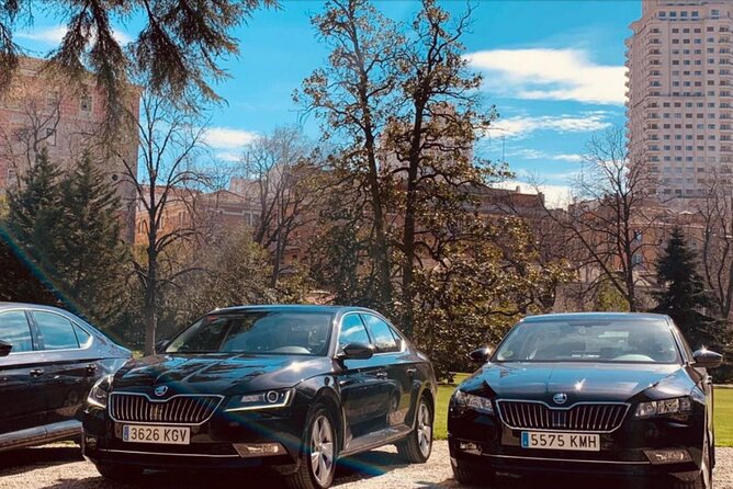 Private Transportation From Madrid Airport to City Center - Service Highlights