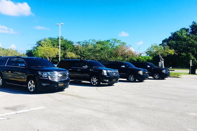 Private Transportation From Punta Cana Airport to Bavaro Hotels - Booking and Cancellation Policies