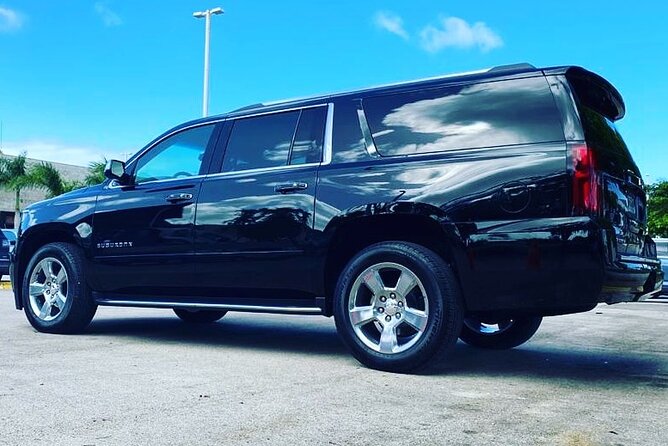 Private Transportation From Punta Cana Airport to Bavaro Hotels - Pricing and Group Size
