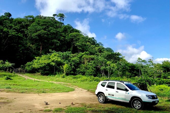 Private Transportation From Santa Marta to Barranquilla Airport - Customer Feedback