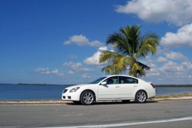 Private Transportation in Puerto Vallarta - Positive Customer Experiences
