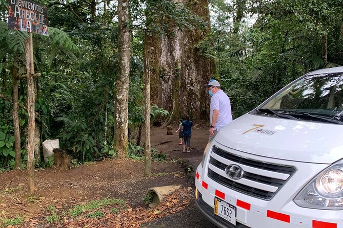 Private Transportation La Fortuna - Tamarindo and Surrounding Areas - Pricing and Packages