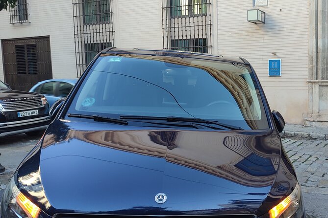 Private Transportation Ronda to Malaga for 6 Passengers - Passenger Considerations