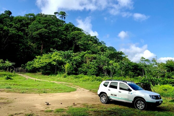 Private Transportation Service From Cartagena to Palomino - Enjoying the Colombian Scenery